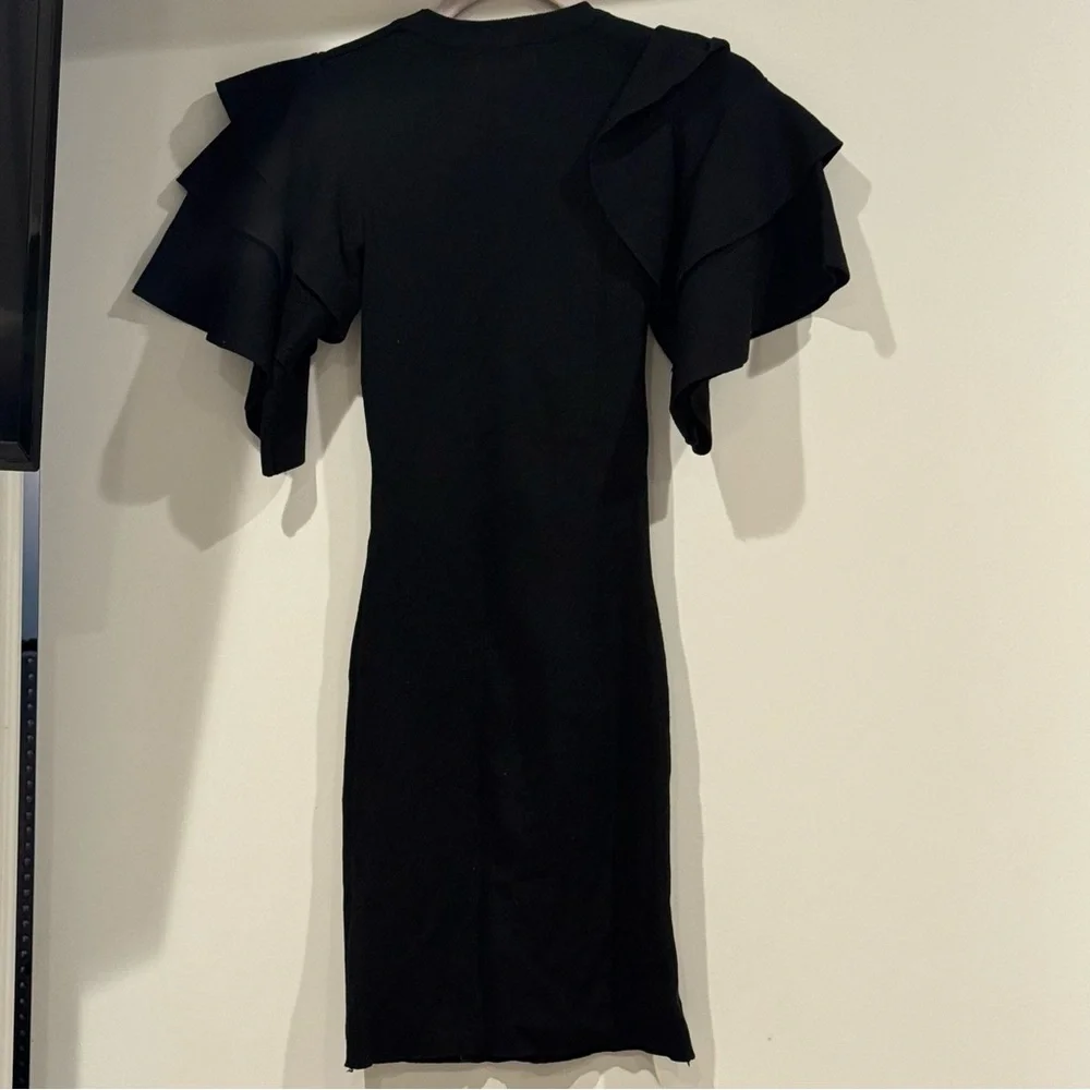 Stylish Black Ruffle Sleeve Dress - Picture 2 of 3